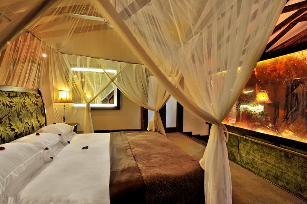 Plantation Suite