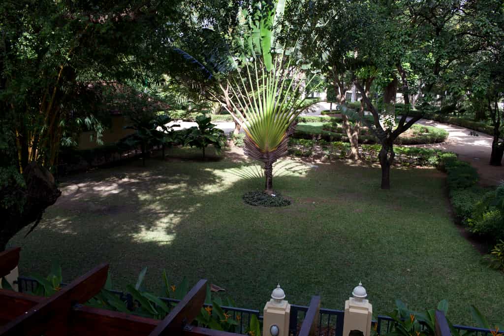 Botanical Garden 