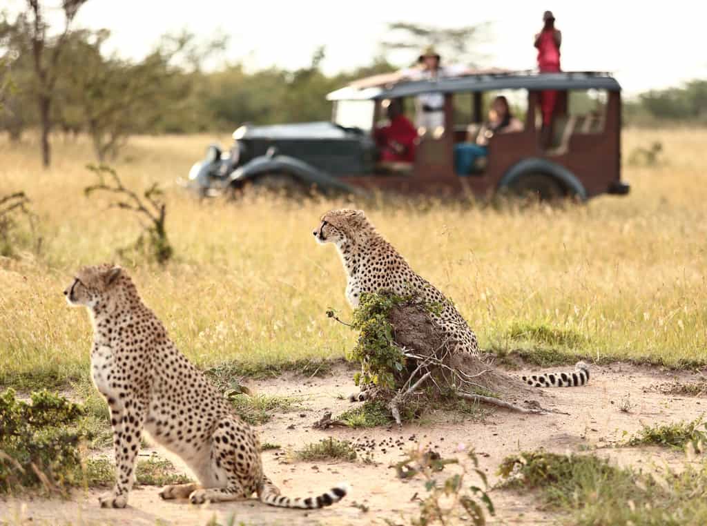 Game Drive On Vintage 4x4