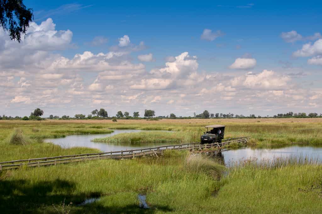 The Duba Bridge