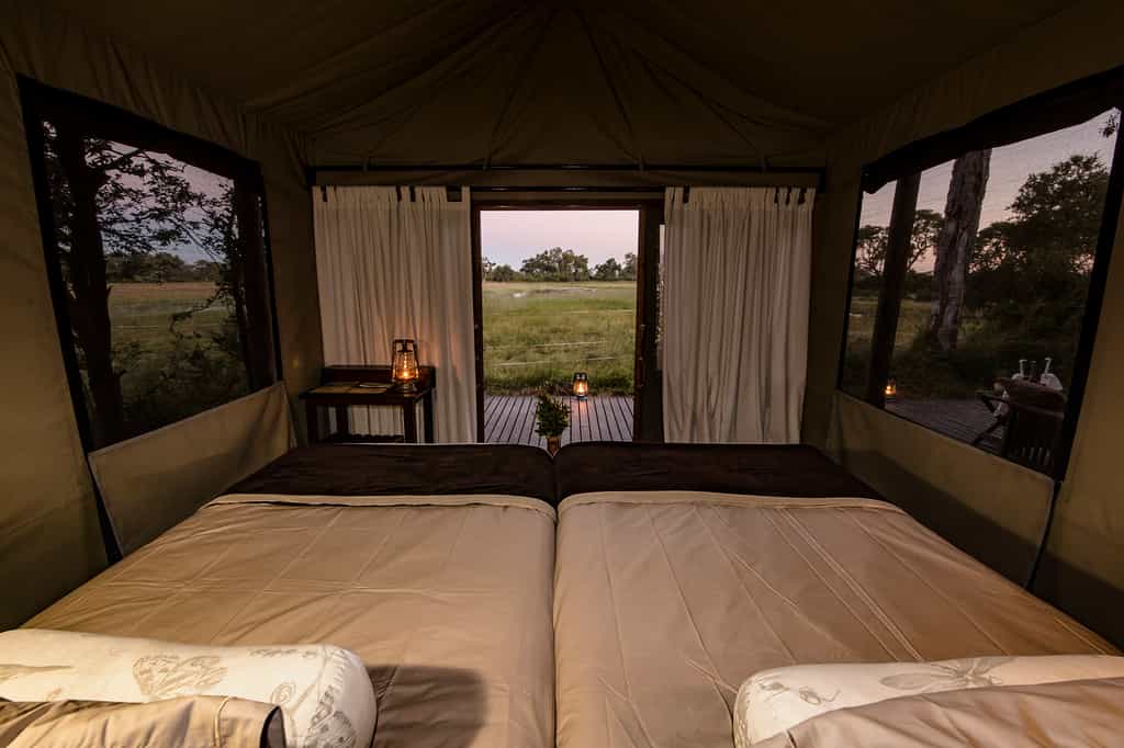 View from the tents