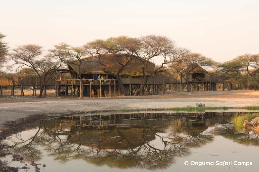 Overlooking a spectacular waterhole