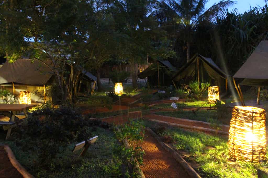 The 'Safari' garden by night