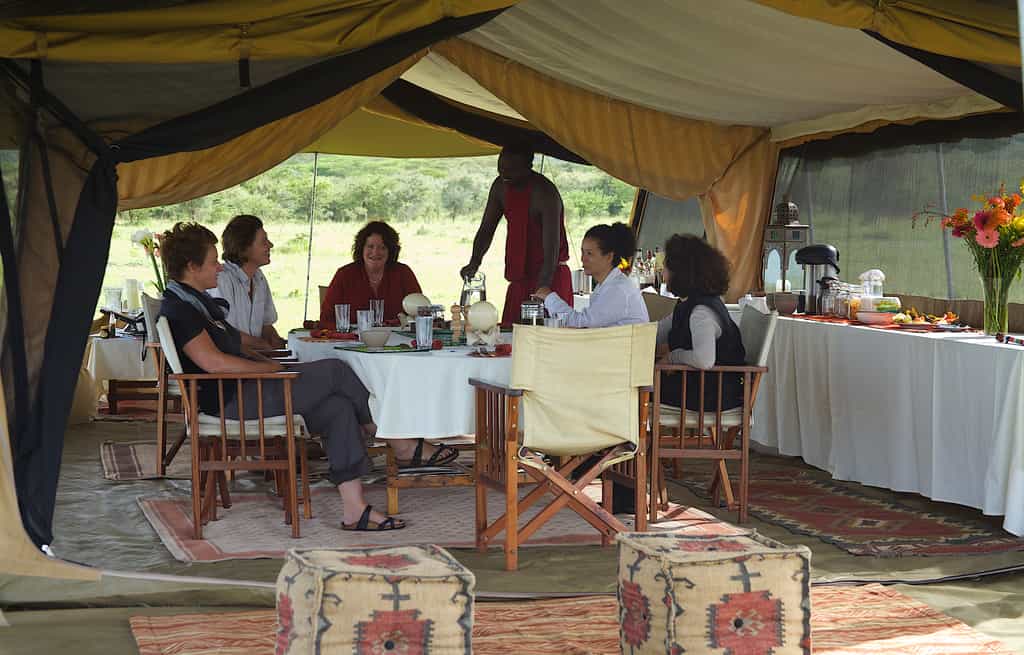 Acting as your base while you explore key wildlife areas. 