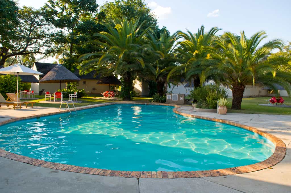 Our guest rooms overlooks the Zambezi River, or garden and pool areas.