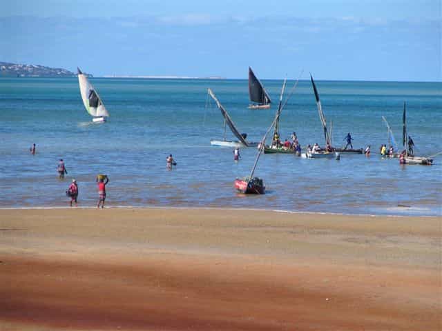 Experience a slice of paradise for yourself and we promise a unique and unforgettable tropical adventure! Exceptional diving and swimming,  snorkellings spots, scuba diving, deepsea fishing, beautiful white sandy beaches, sailing in "Golphino" Casa Chibububo Lodge  dhow to the islands and mounth watering seafood prepare on the island or restaurant, fresh from the ocean! 