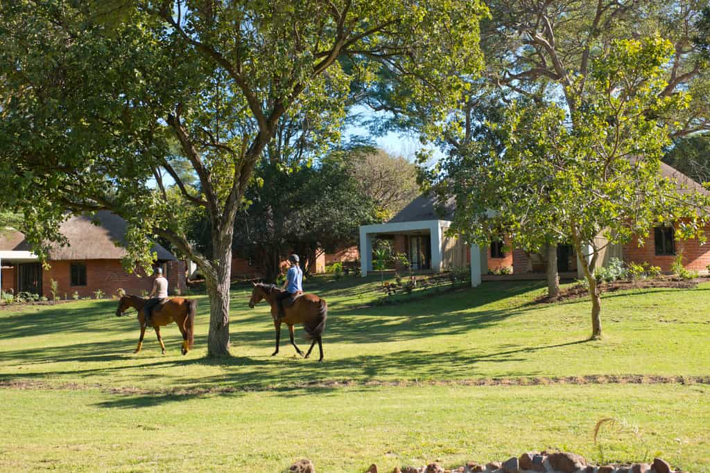 Horse Riding
