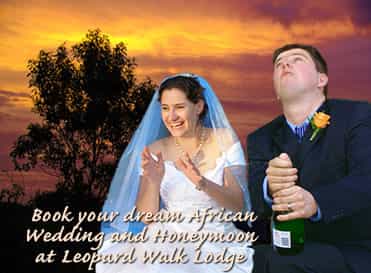 Spend your Honeymoon at Leopard Walk Lodge