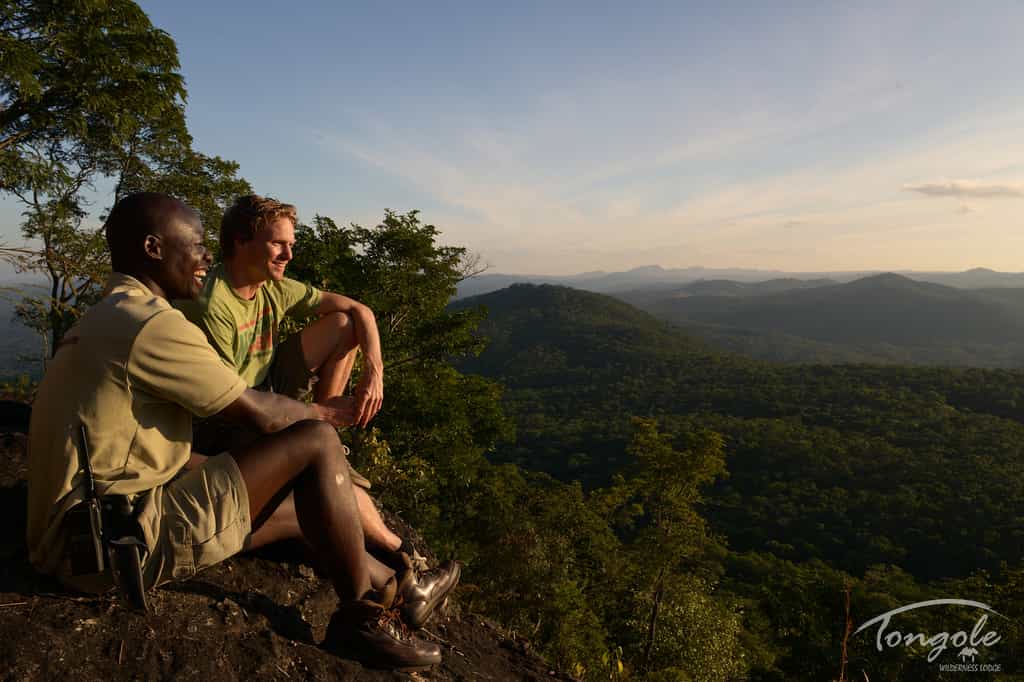 Mountain Viewpoint
