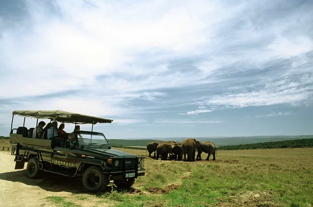 Woodall Game Drive