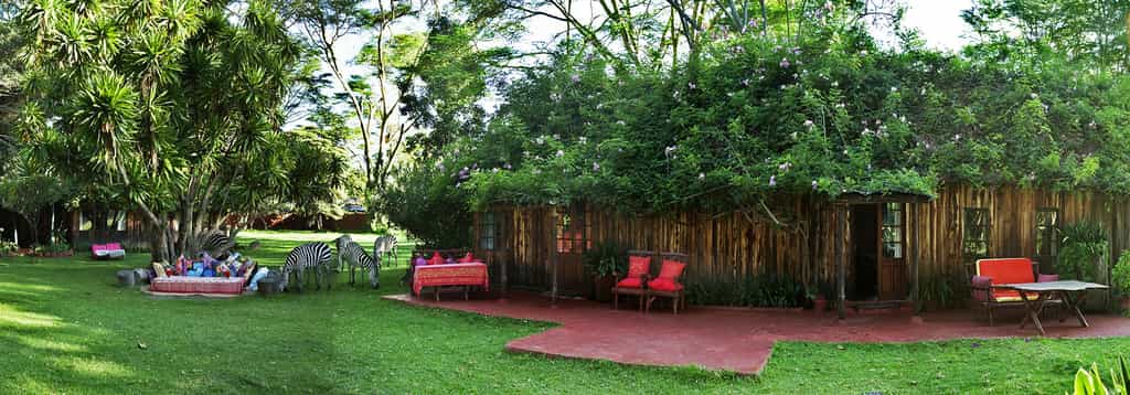 A collage of the magnificent attractions within and around Naivasha
