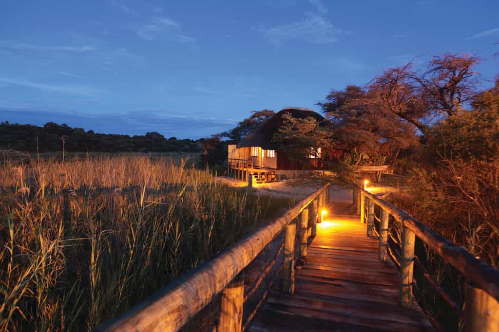 A night walk to the lodge 