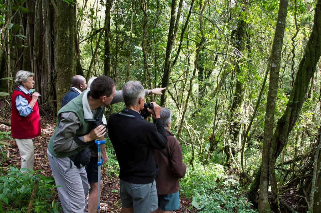 Nyika Trails