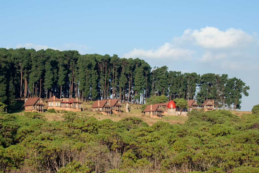 Chelinda Lodge