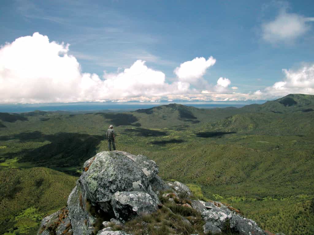 Nyika Landscape