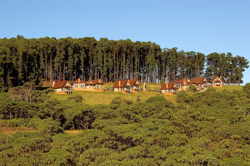 Chelinda Lodge