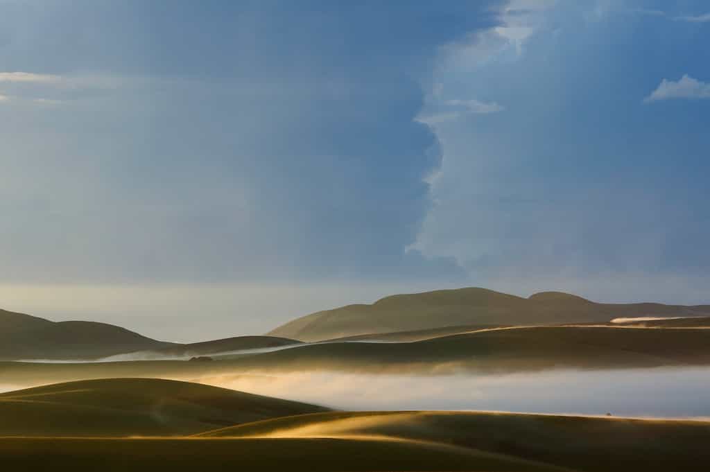 Nyika Landscape