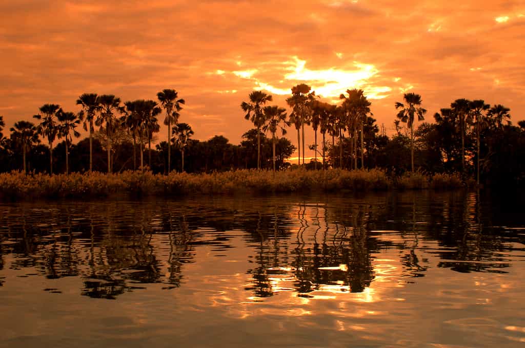 Sunset Over Shire River