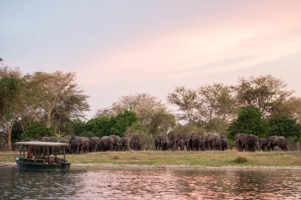 Boat Safari