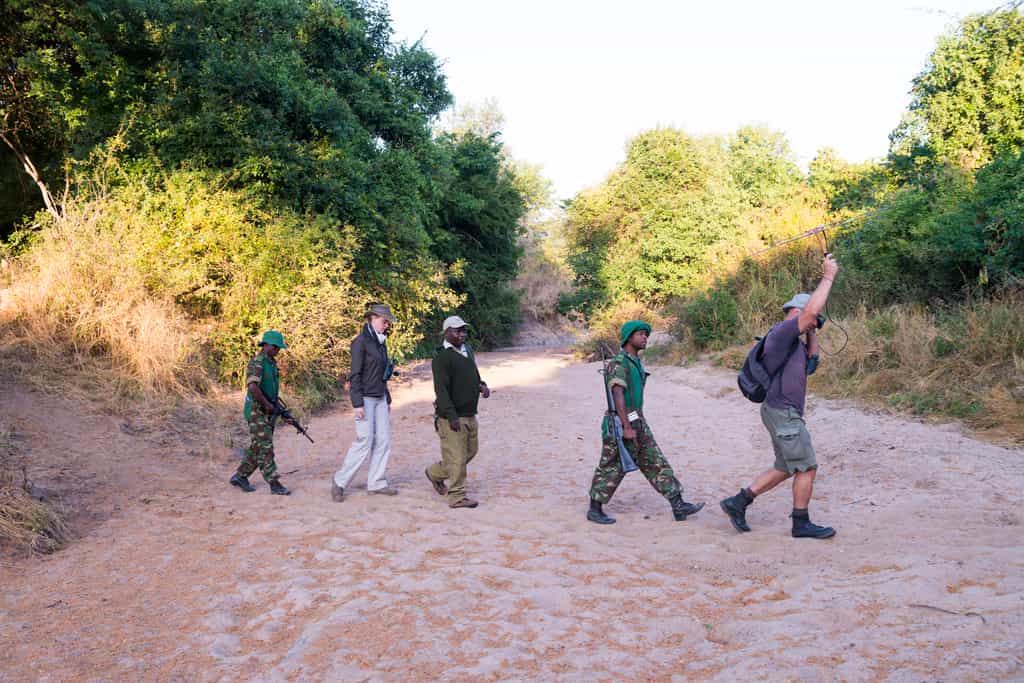 Rhino Tracking Experience