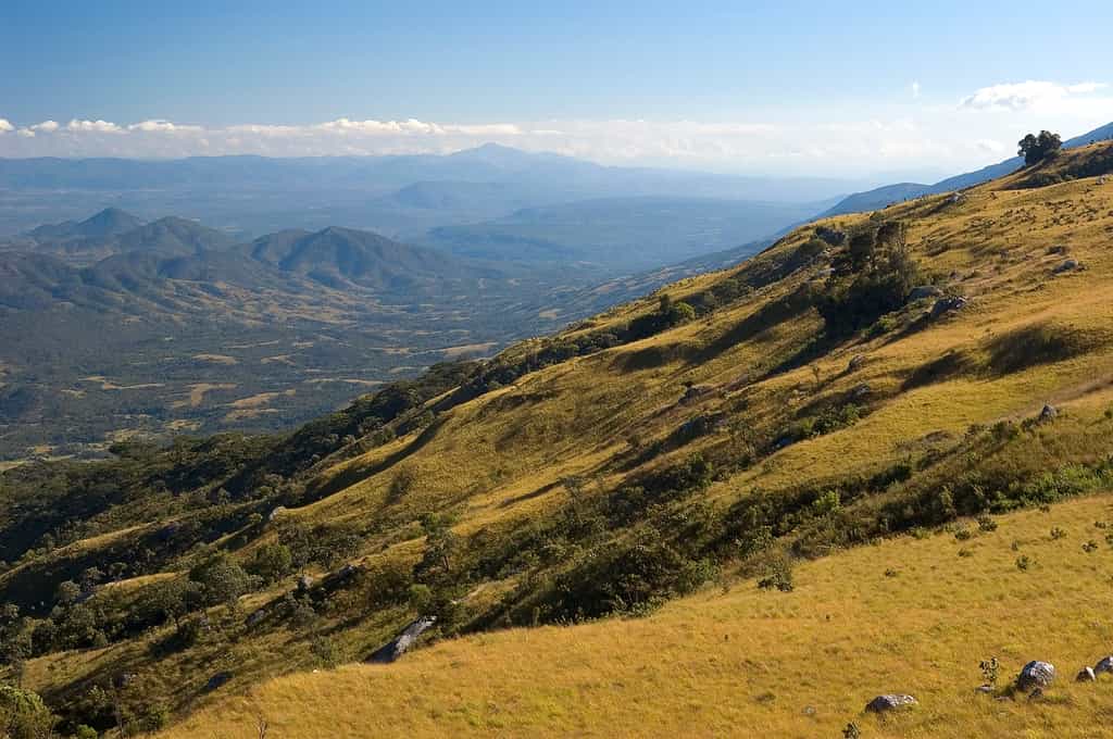 Nyika Landscape