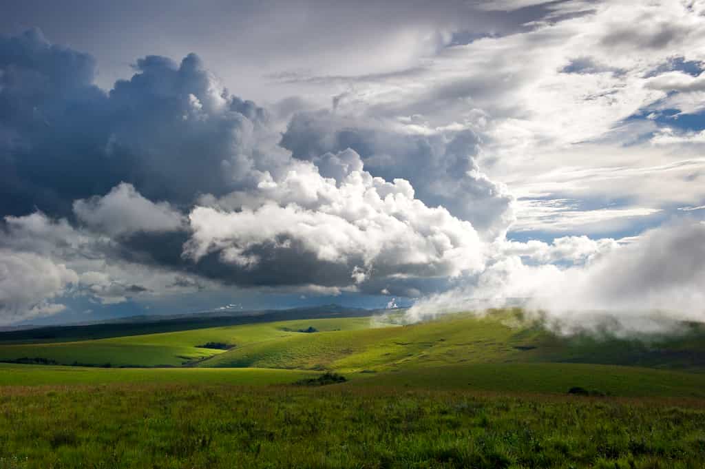 Nyika Landscape