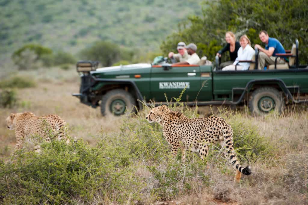 A dedicated ranger, tracker and safari vehicle for a flexible safari schedule