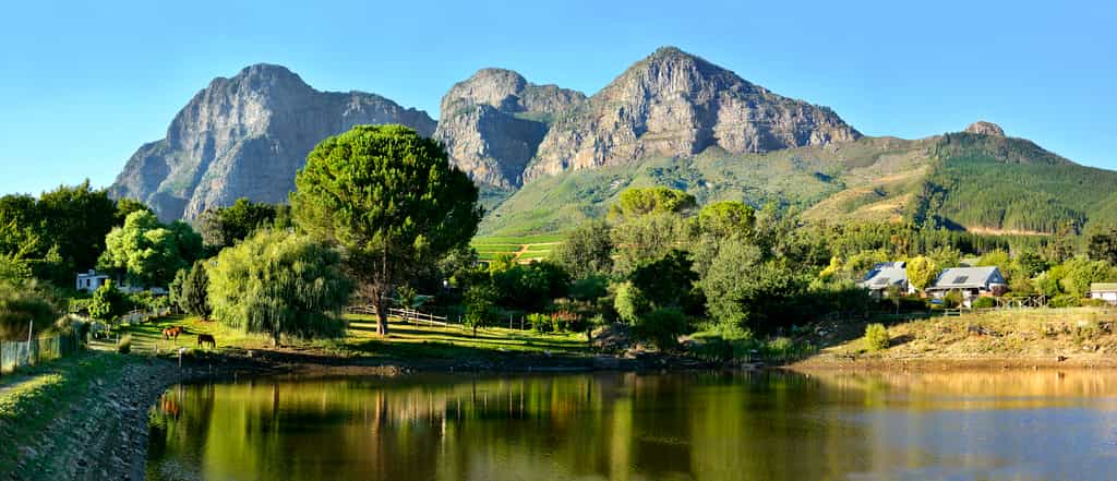 magnificent view 