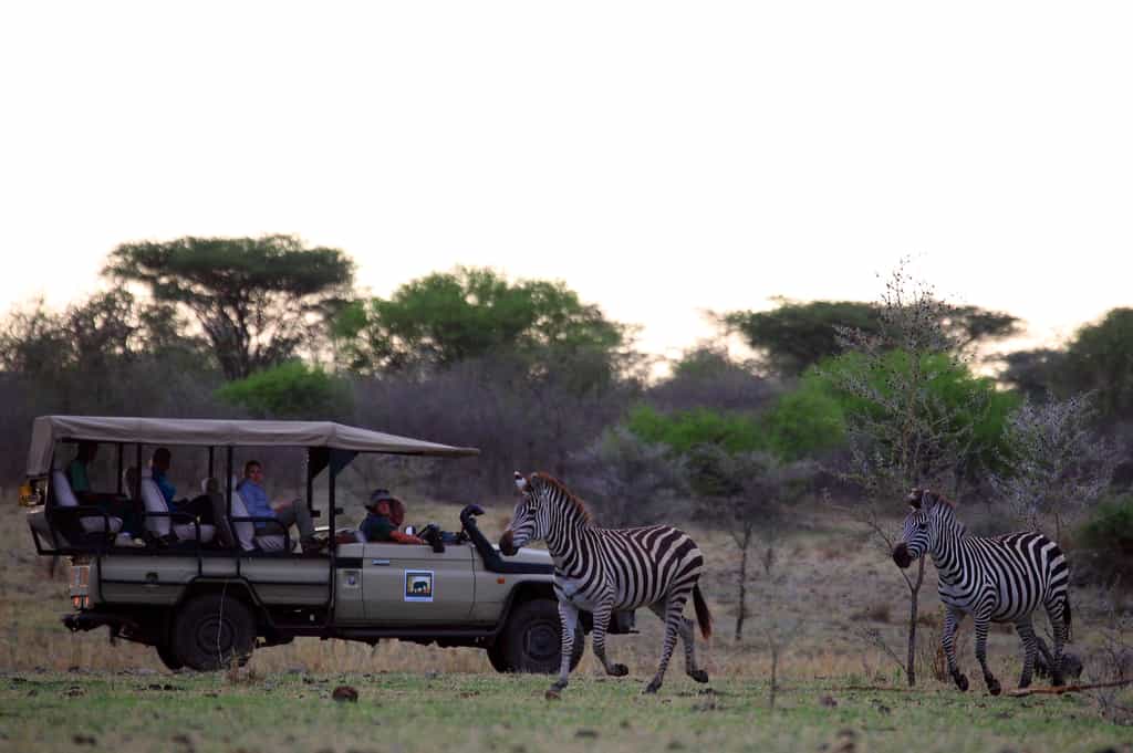 One of the Conservancy's Open Vehicles