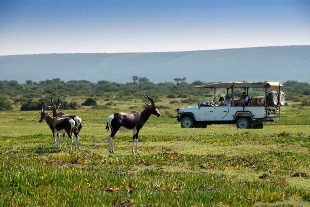Explore De Hoop Nature Reserve by open 4x4
