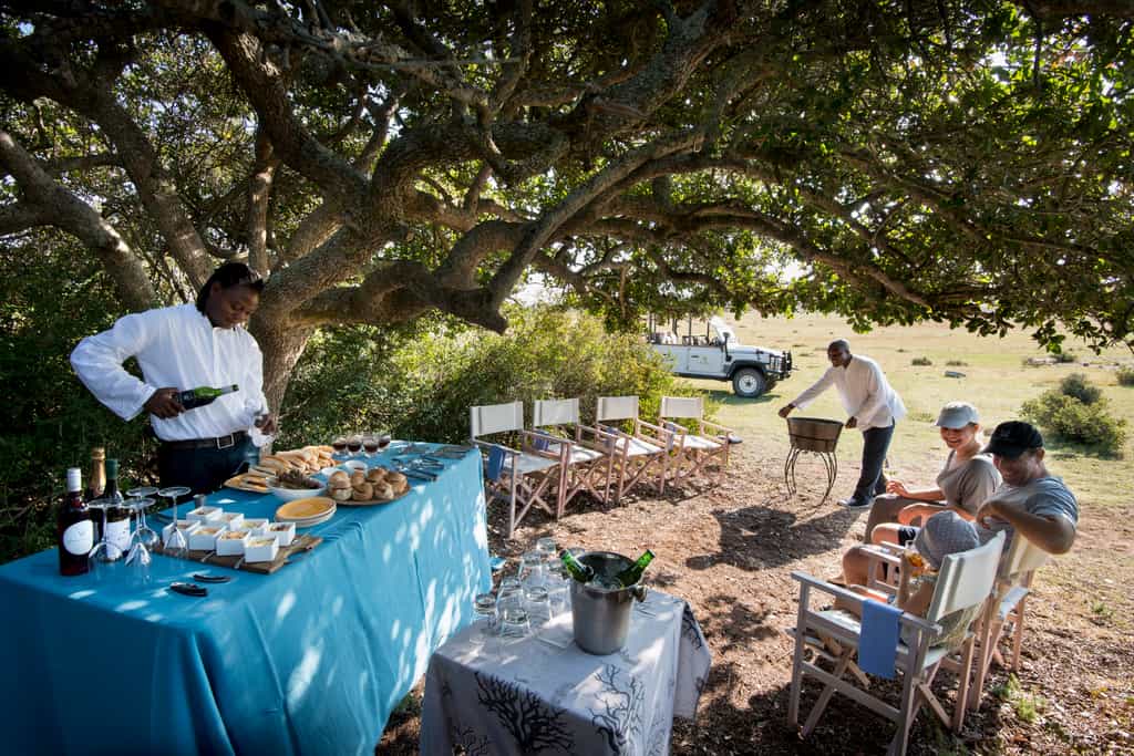 Bush picnic
