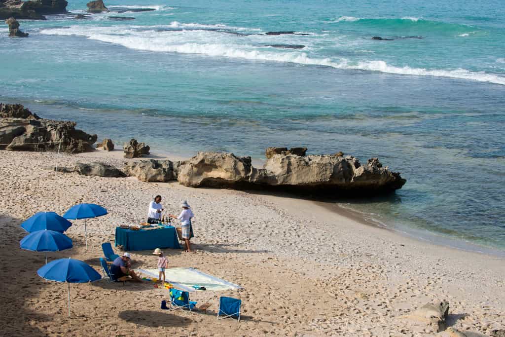 Beach picnic