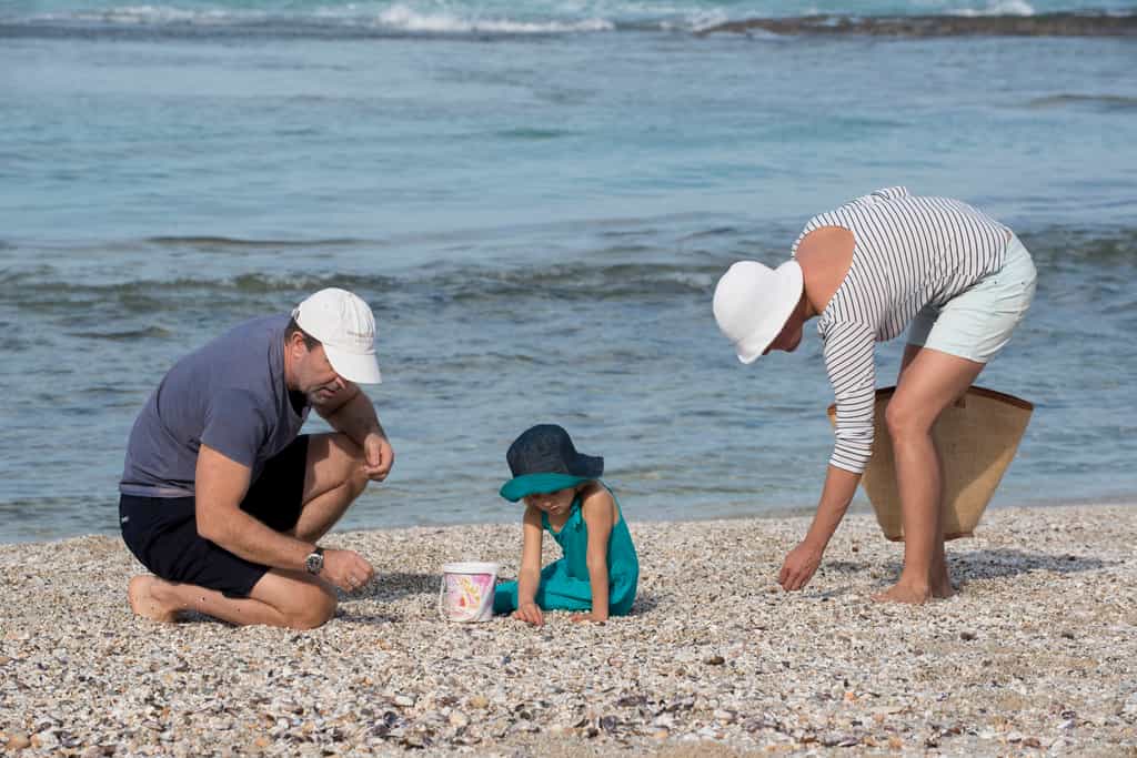Looking for the most beautiful shells on the beach