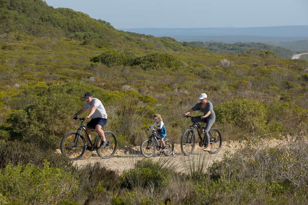 We have mountain bikes in various sizes