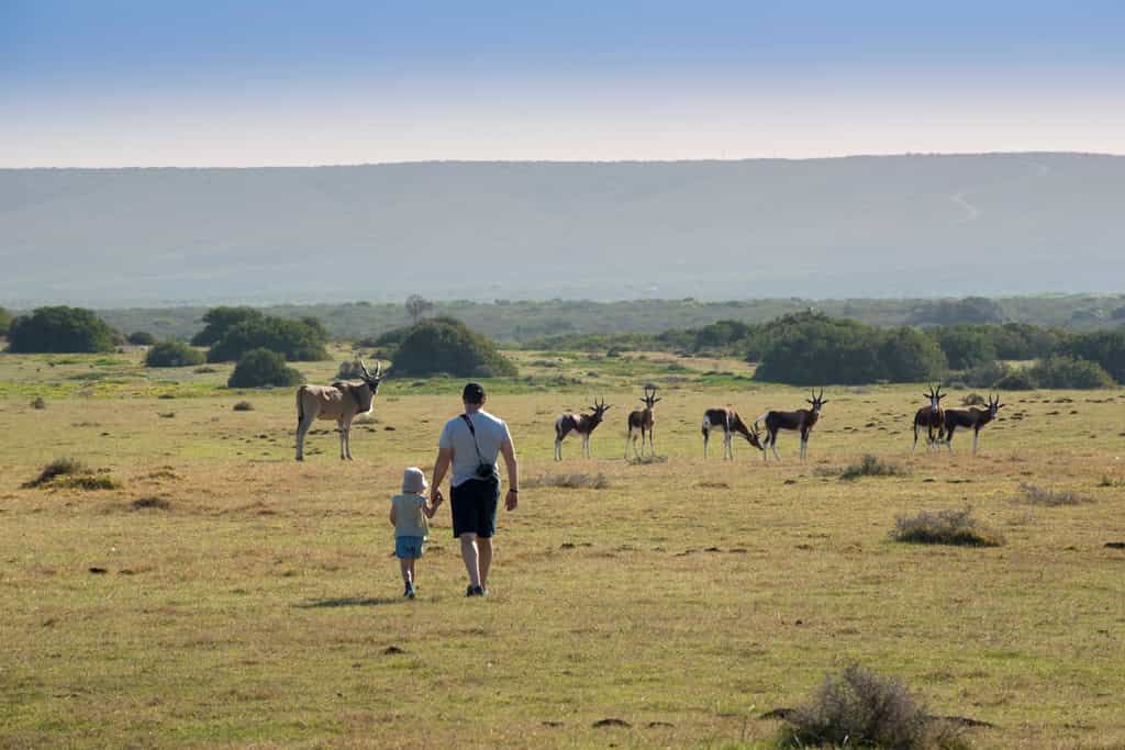 Explore De Hoop Nature Reserve on foot