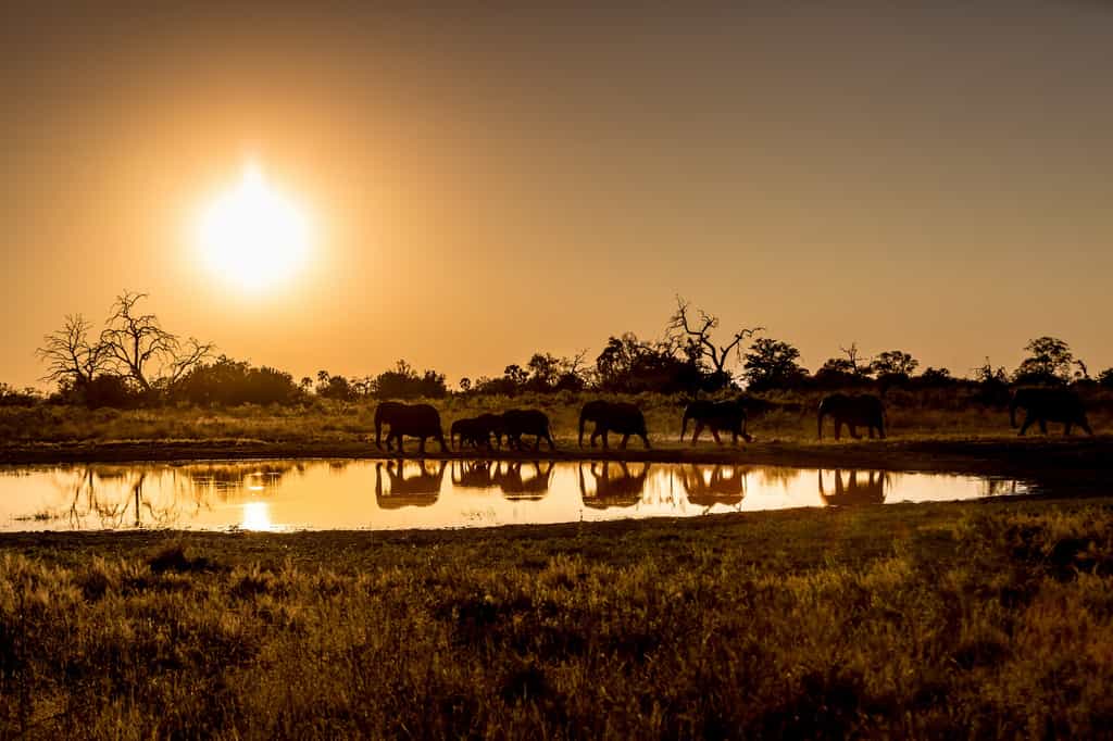 Qorokwe has year-round water around camp 