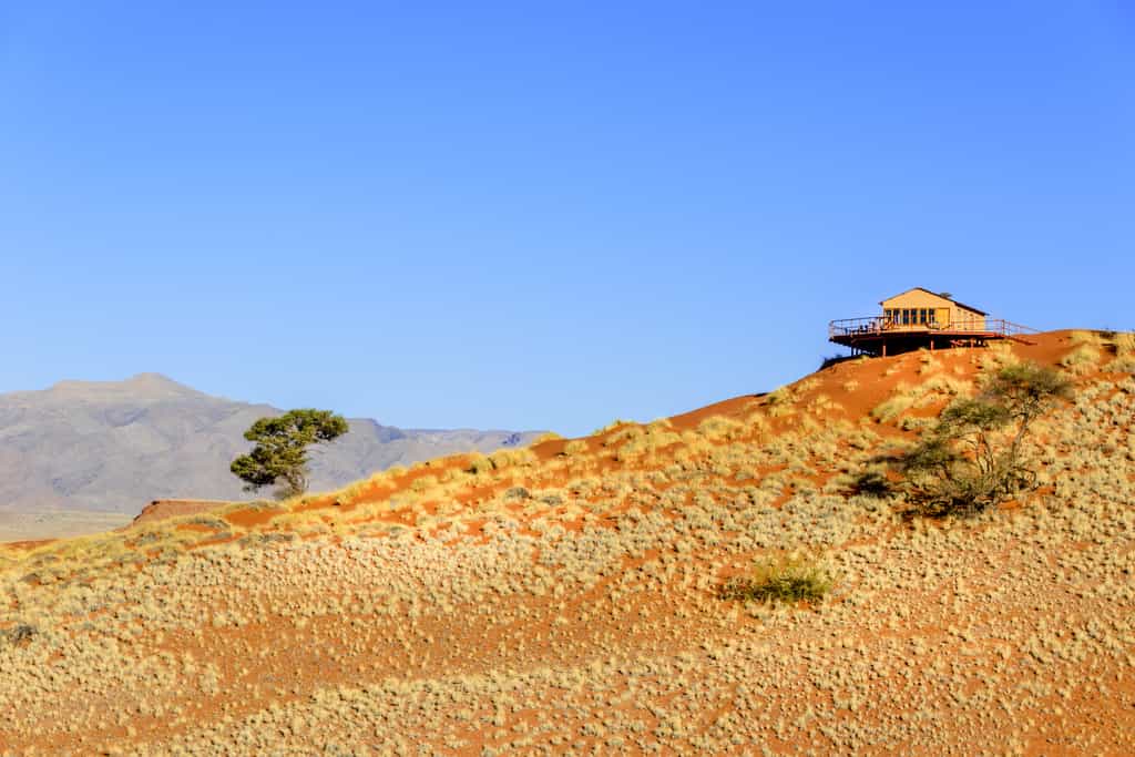  Desert escape
