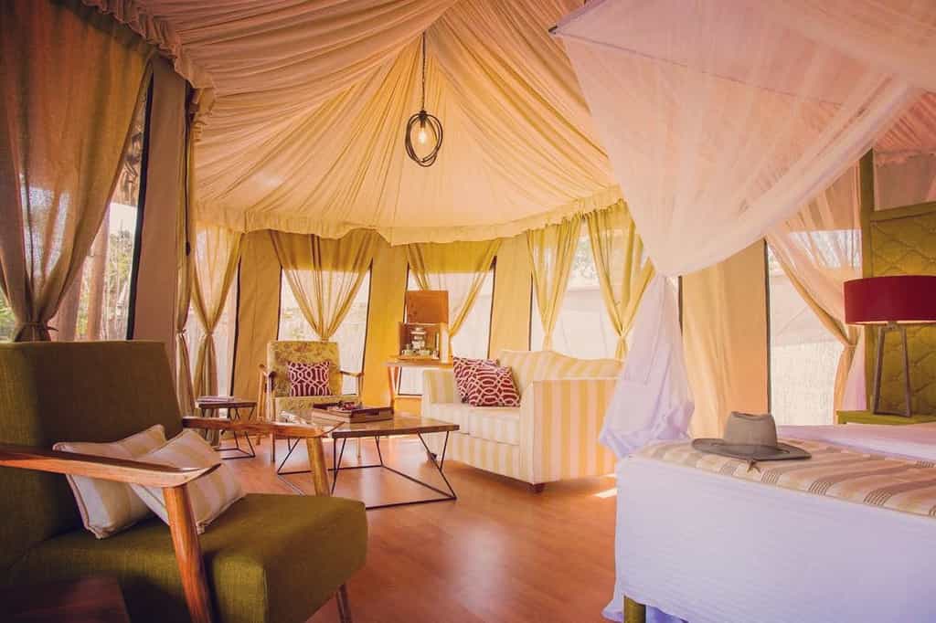 Interior View Guest Tent Ehlane Plains Camp
