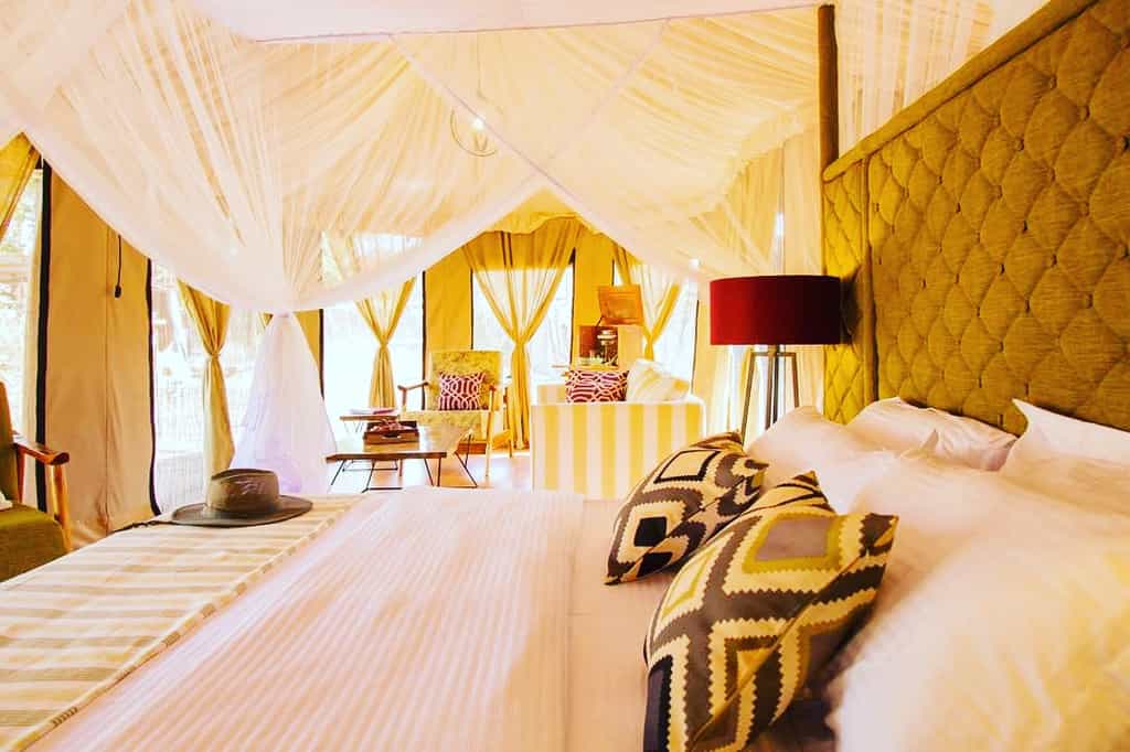 Comfort and Style within Ehlane Plains Camp