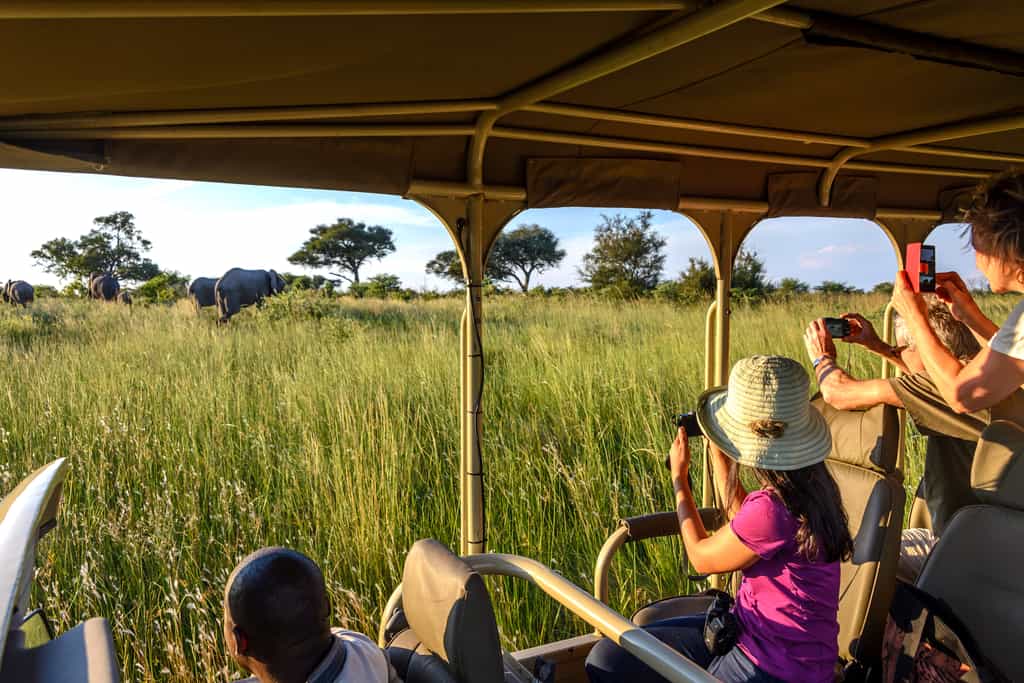 Namushasha game drive 