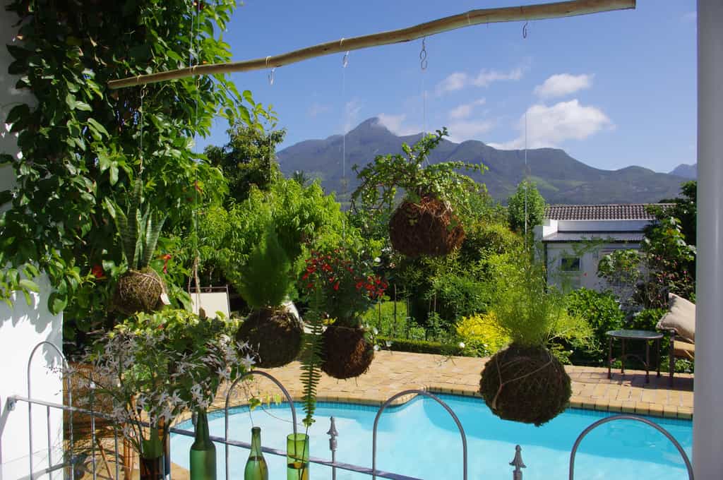 View on George Peak from our swimming pool