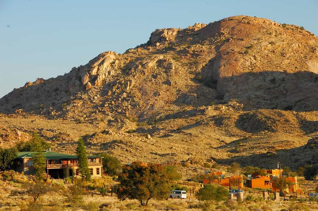 The Desert Horse Inn is just 20 km away from the habitat of the Wild Horses.