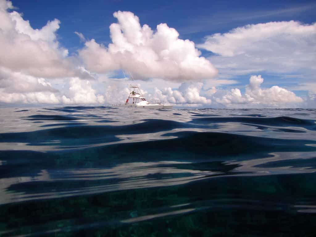With warm clear water, all activities are a pleasure