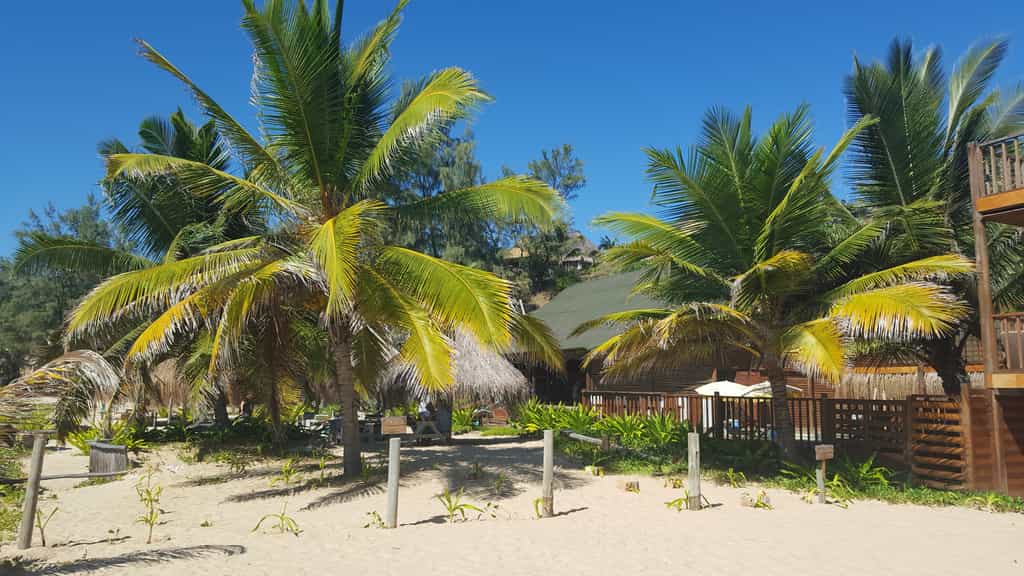 Restaurant and pool area