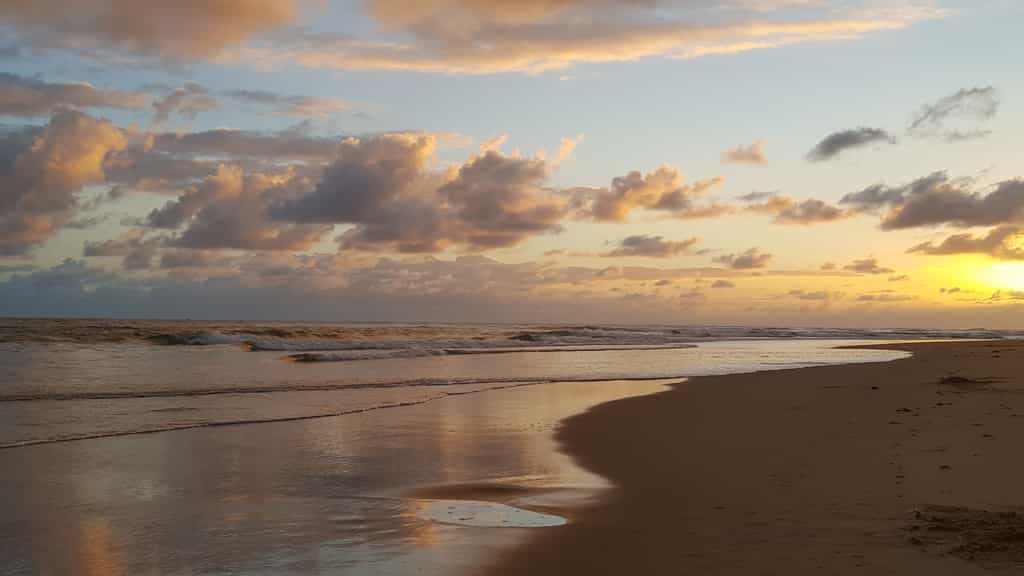 Sunrise