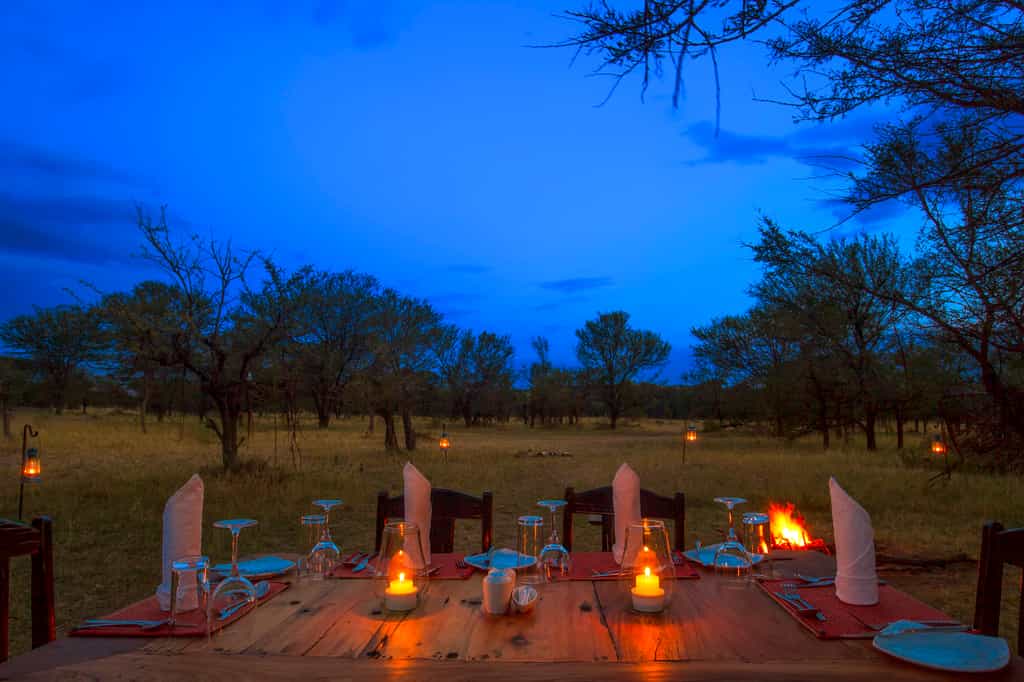 Private bush dinner can be arranged for the family, honeymooners or a group of friends.