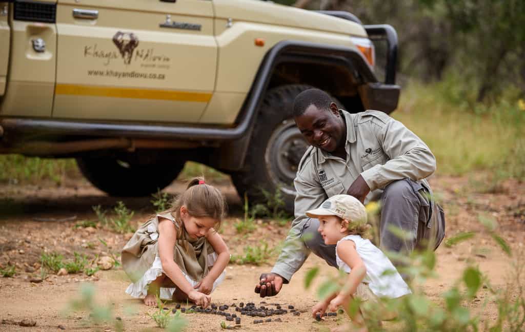 Safari