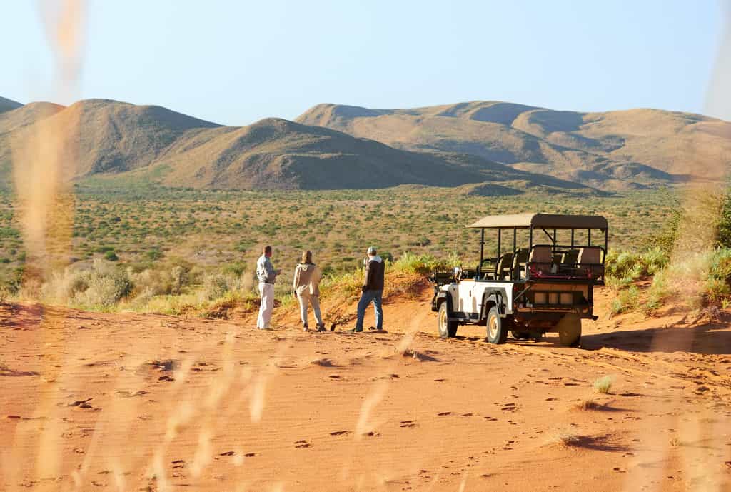 A timeless safari