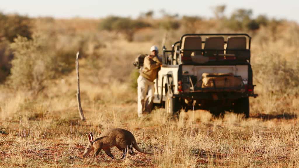 Diversity of game viewing