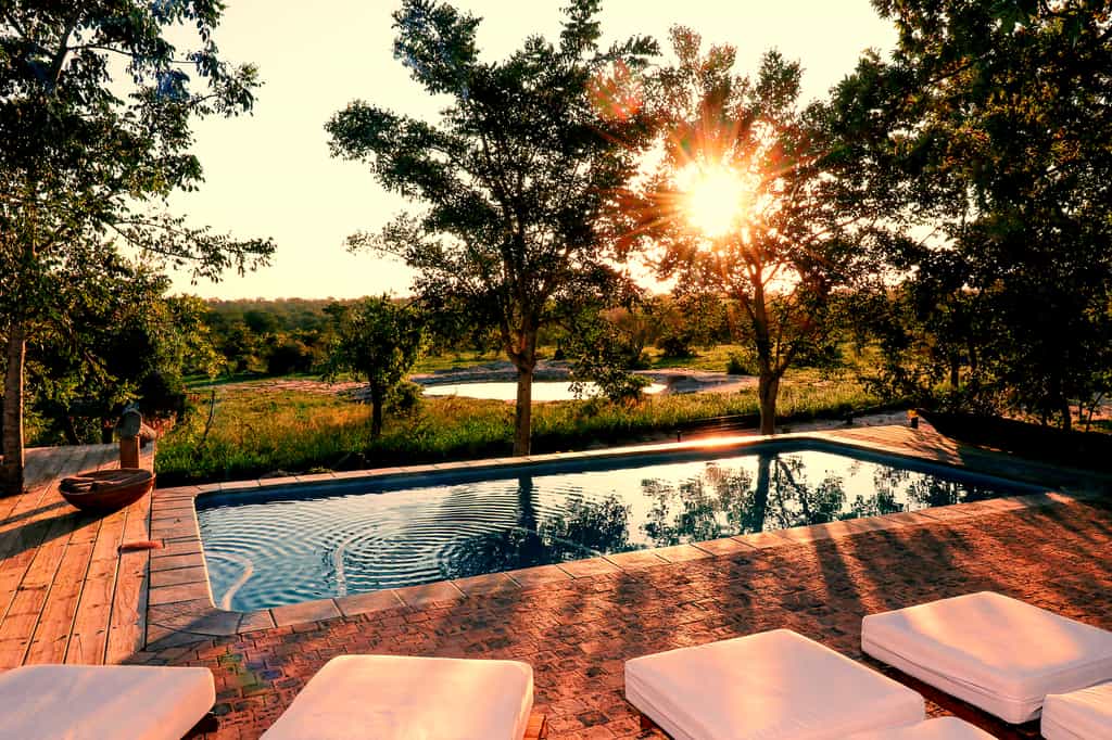 Enjoy the view far into the bushveld and of our waterhole from our pool deck area, relax with a book or wait with your camera to see which animals decide to come for a drink!